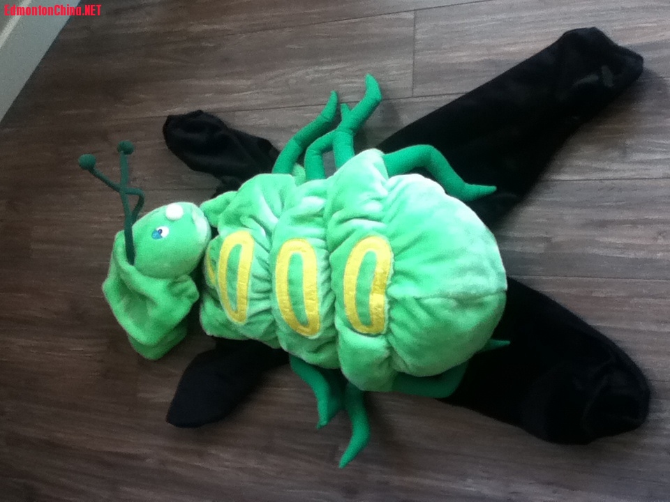 image.jpg