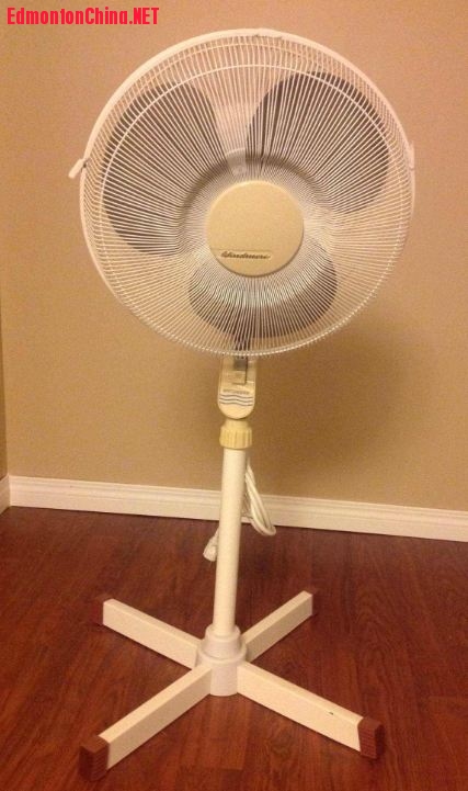 Fan.JPG