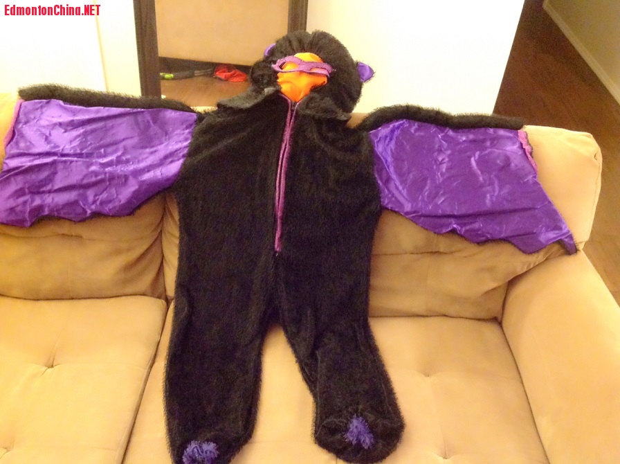 bear costume1.JPG