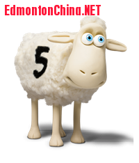 Serta-Sheep.png