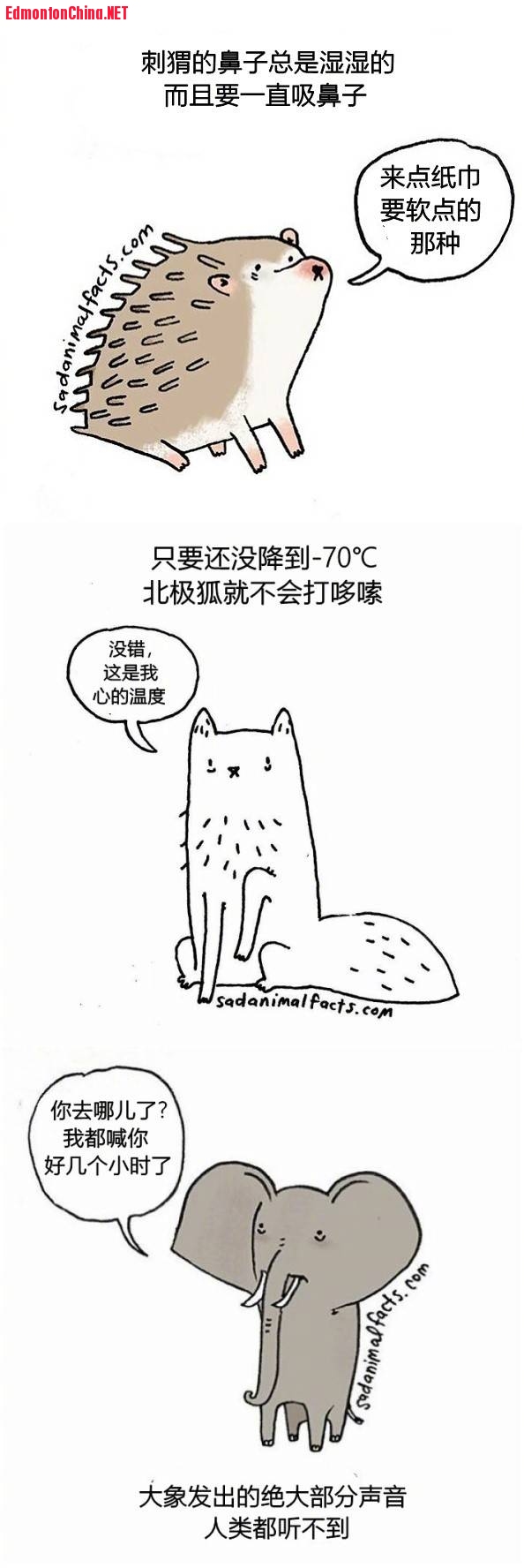 CEFCF287-4486-4251-B4E5-75438B53783F.jpeg