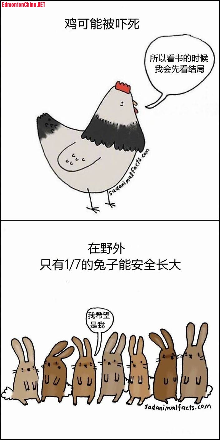 6B909C7A-2D16-46C5-A2D8-0FCD70301C44.jpeg