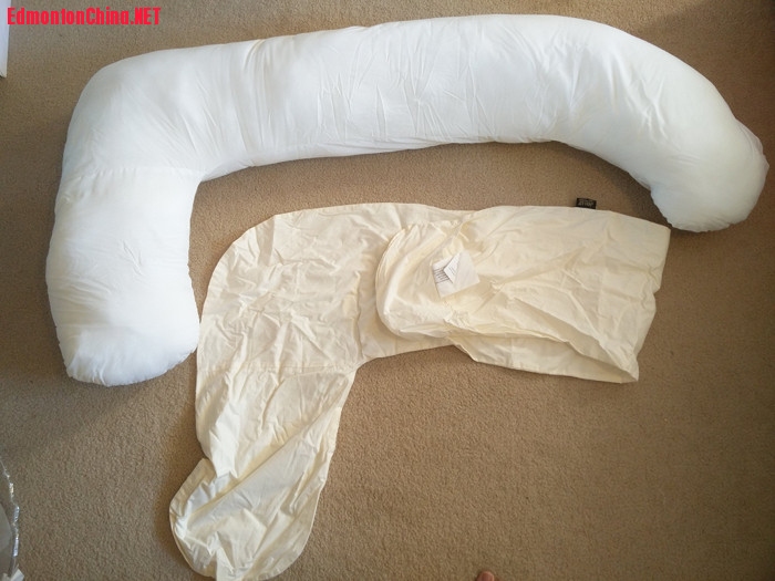 Pregnancy Pillow 2 small.jpg