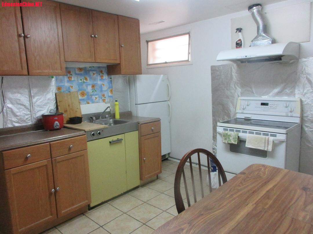 Downstairs Kitchen - 2.jpg