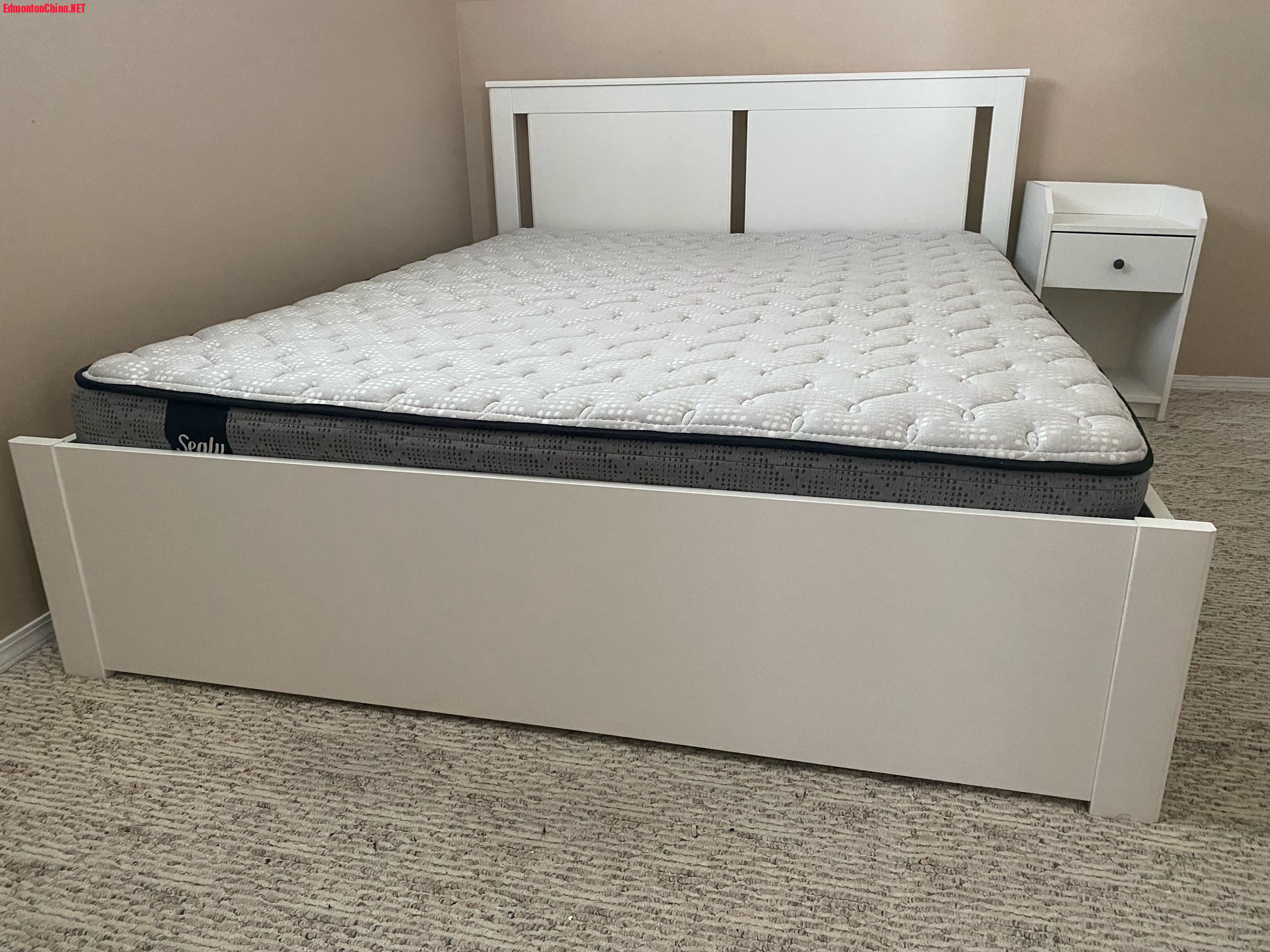 Sealy  Queen mattress.jpeg