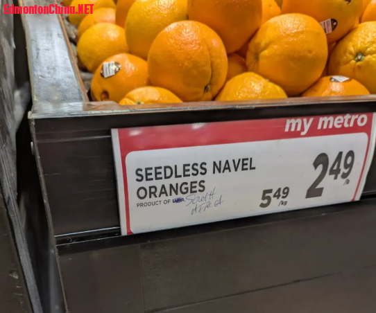 1738823424825.png