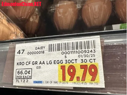 1741397116126.png