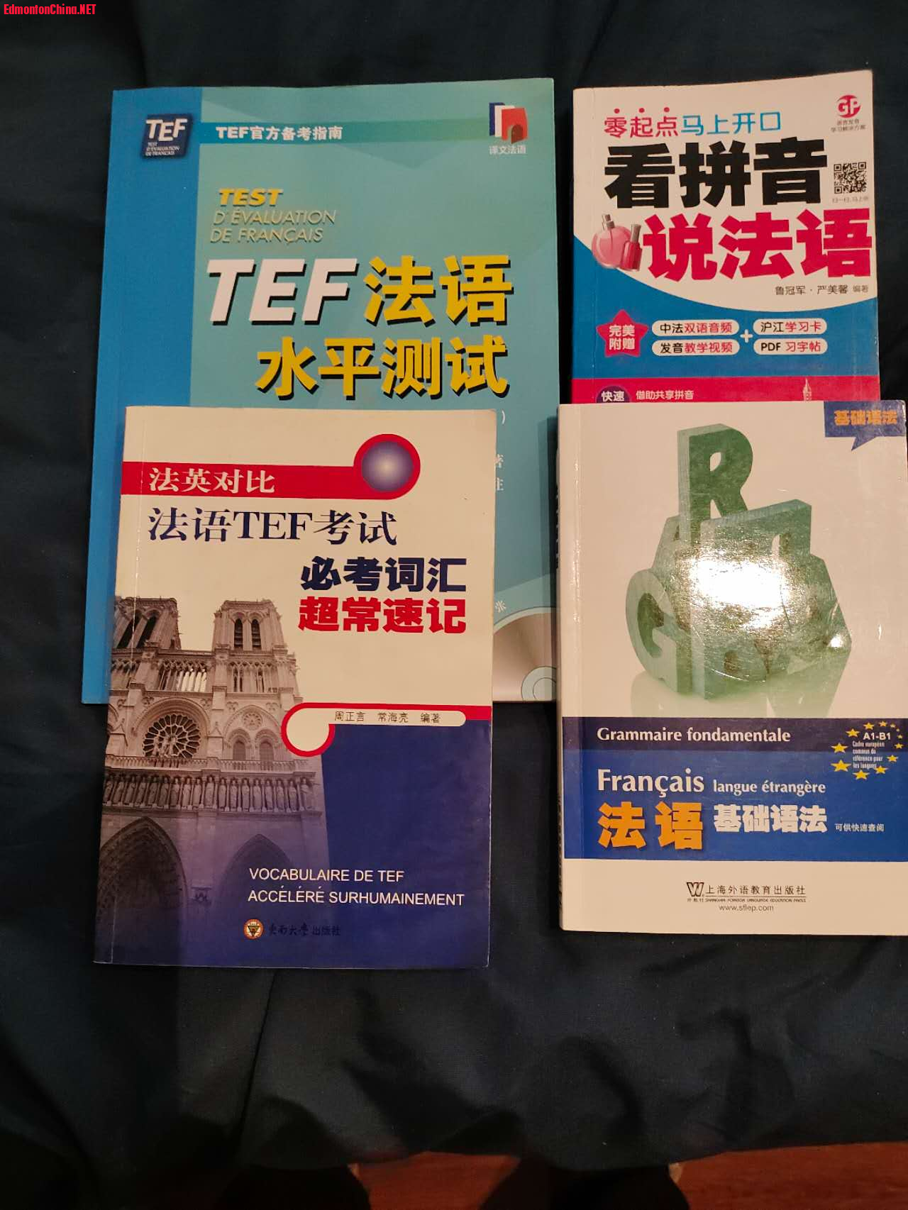 TEF̲