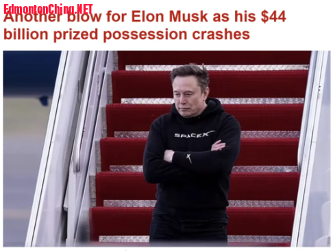 1743273250950.png