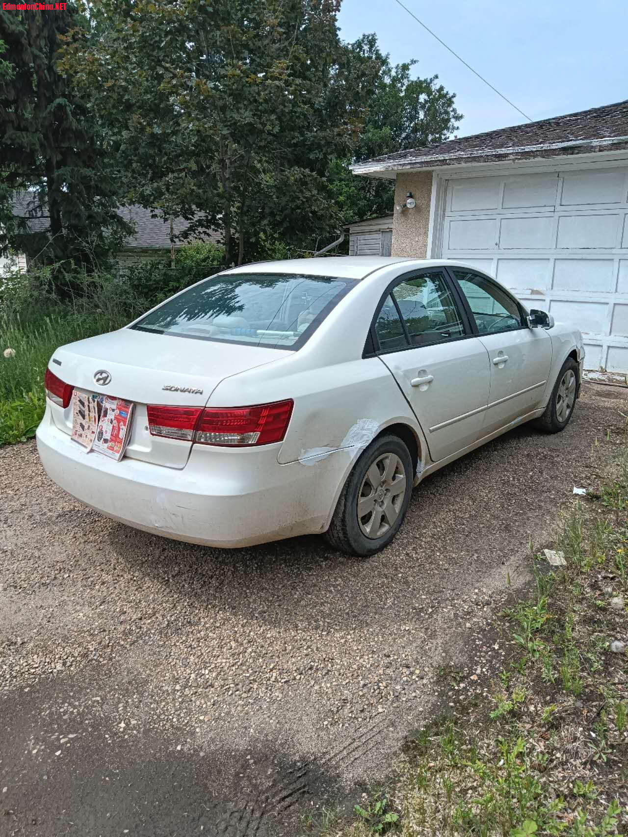 mmexport1750541587421.jpg
