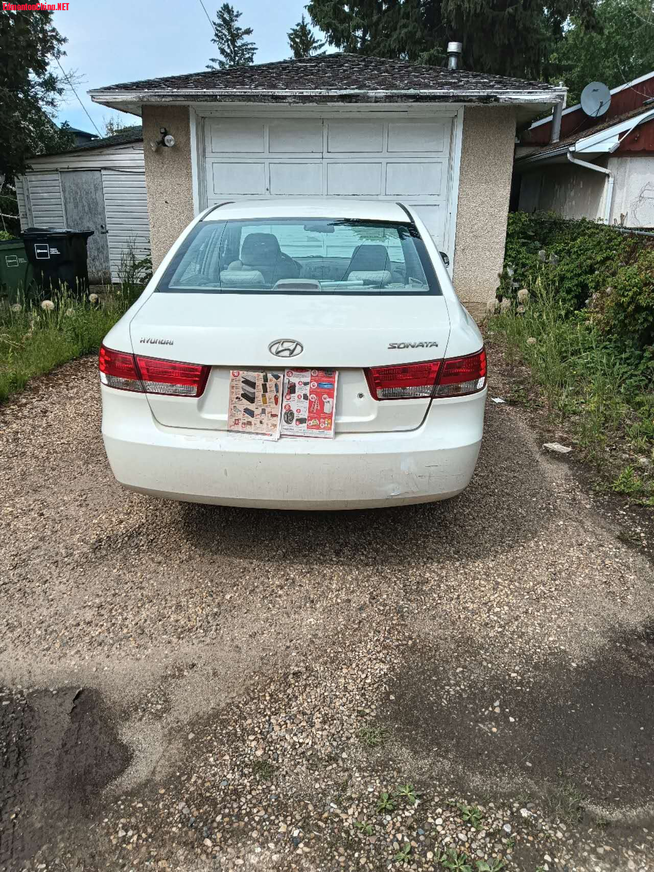 mmexport1750541592835.jpg