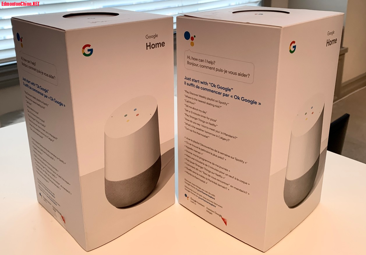 A08-Google Home Smart Speaker_2x$105.jpg