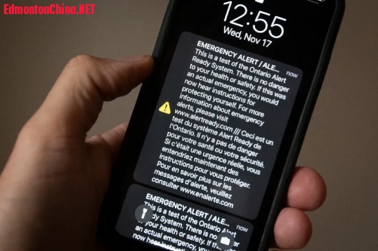 073a2e11-d0e7-4600-8657-6dad1553dc50.png