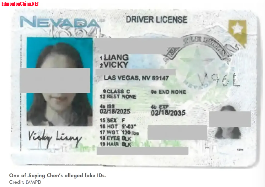 8ed291f1-3109-49fa-8fb0-cc7827454506.png